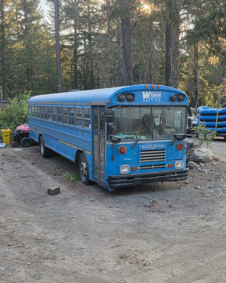 junk bus removal
